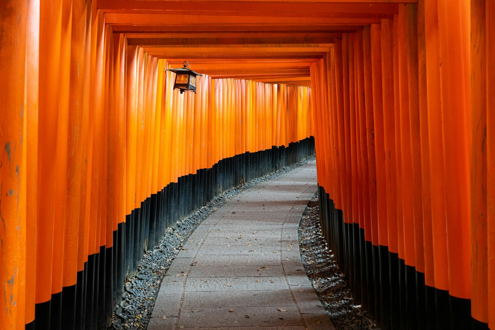Red torii gates at Fushimi Inari in Kyoto